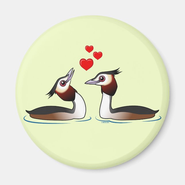 Große Crested Grebes in der Liebe Magnet (Vorne)