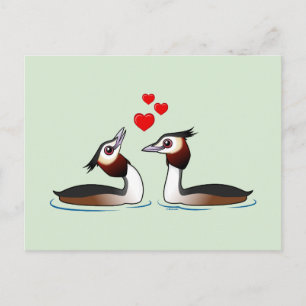 Große Crested Grebes in Liebe Postkarte