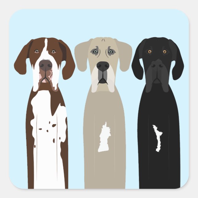 Große Dane Hunde Quadratischer Aufkleber (Vorderseite)