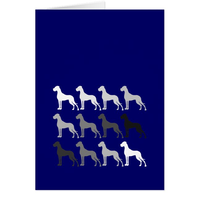 Große Dänen (Vorne)