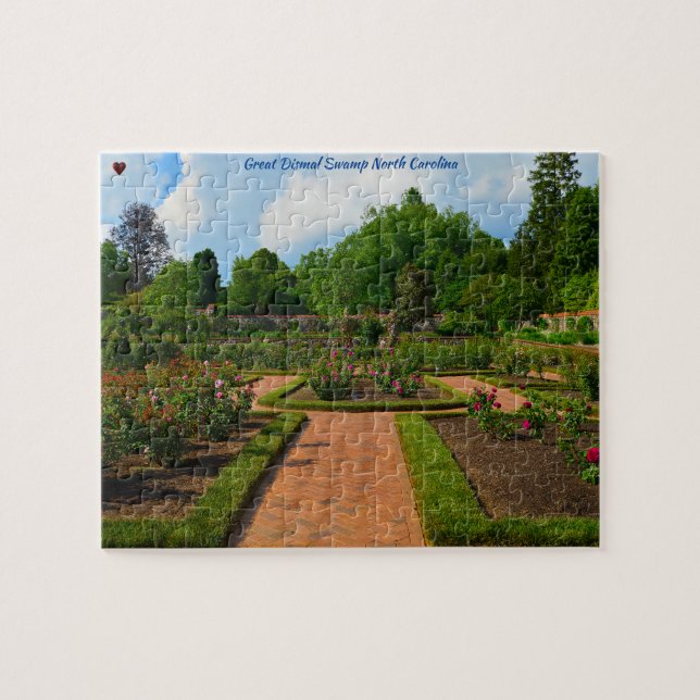Große dunkle Sumpflandschaft North Carolina Jigsaw (Horizontal)