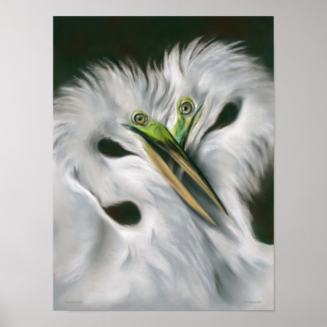 Große Egrets in Liebe Poster (Vorne)