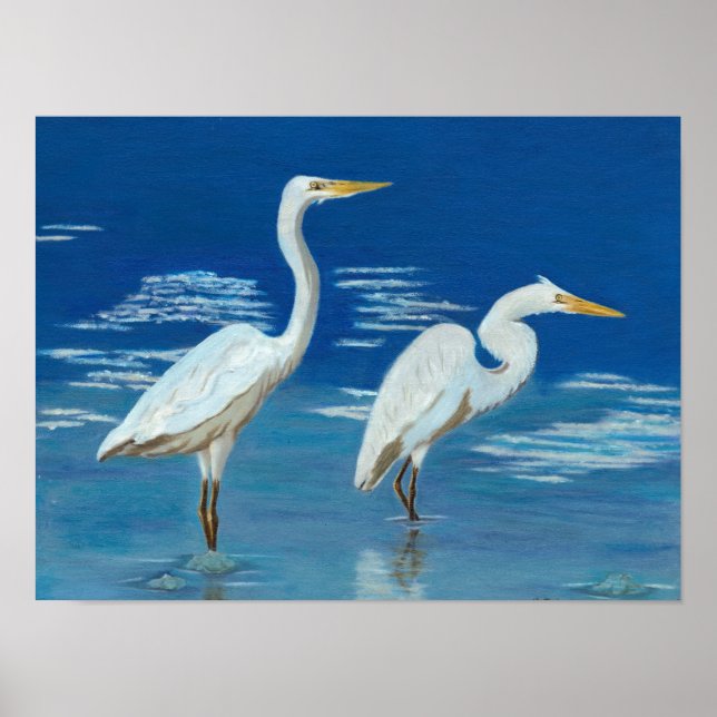 Große Egrets Poster (Vorne)