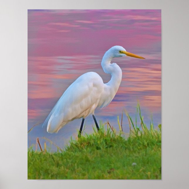 Große Egrets Spaziergang bei Sonnenaufgang Poster (Vorne)