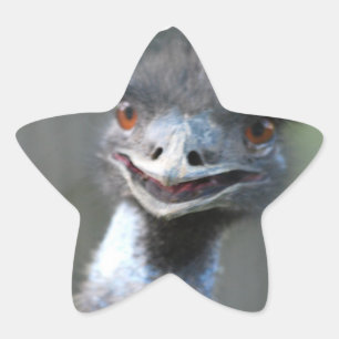 Große Emu-Aufkleber Stern-Aufkleber