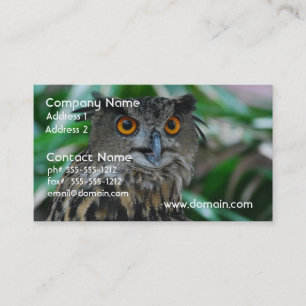 Große Eulen-Visitenkarten Visitenkarte