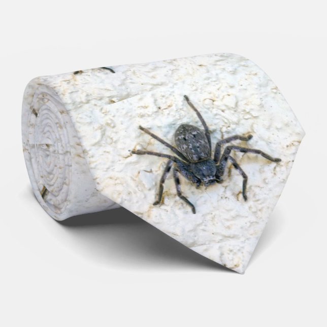 Grosse Femme Spider, Cravate (Roulé)