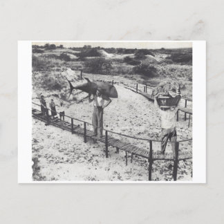 Große Fische - Einladungspostkarte