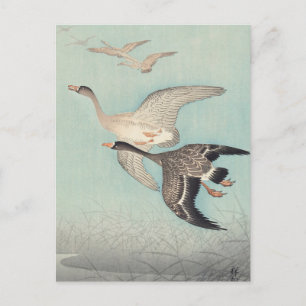 Große Gänse in Flight Painting von Ohara Koson Postkarte