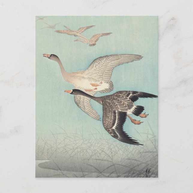 Große Gänse in Flight Painting von Ohara Koson Postkarte (Vorderseite)