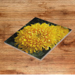 Große Gelbe Chrysanthemum Fliese<br><div class="desc">Keramik,  die das Foto eines großen,  gelben Chrysanthemas,  auch bekannt als Mum Blume,  zeigt. Ein schönes,  blumengeschmücktes Design! Wählen Sie Ihre Kachelgröße aus. Eine tolle Küche trivet!</div>