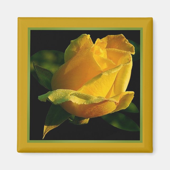 Große gelbe Rose Magnet (Vorne)