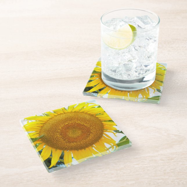 Große gelbe Sonnenblume Blütenblume Glasuntersetzer (Schrägansicht)