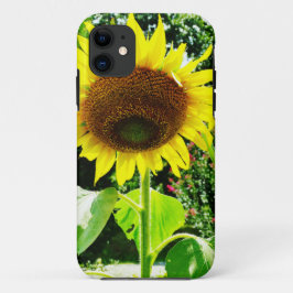 Große gelbe Sonnenblume Case-Mate iPhone Hülle