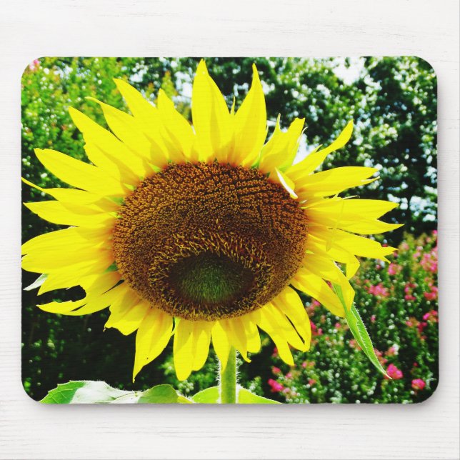 Große gelbe Sonnenblume Mousepad (Vorne)