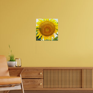 Große gelbe Sonnenblume Poster