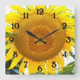 Große gelbe Sonnenblume Quadratische Wanduhr