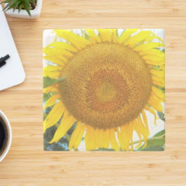 Große gelbe Sonnenblume Steinuntersetzer