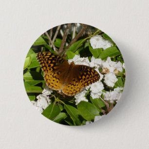 Große geschwungene Fritille auf dem Berg Laurel Button