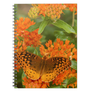 Große, gesprenkelte Fritillen auf Schmetterling-Mi Notizblock