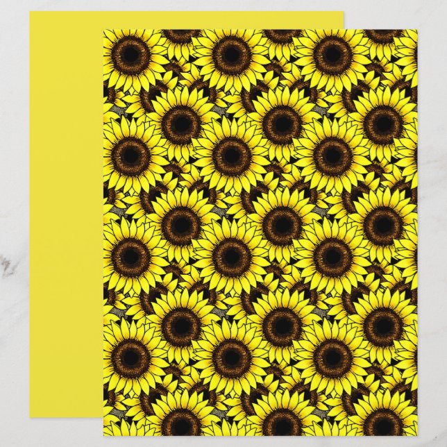 Große goldgelbe Sonnenblumen (Vorne/Hinten)