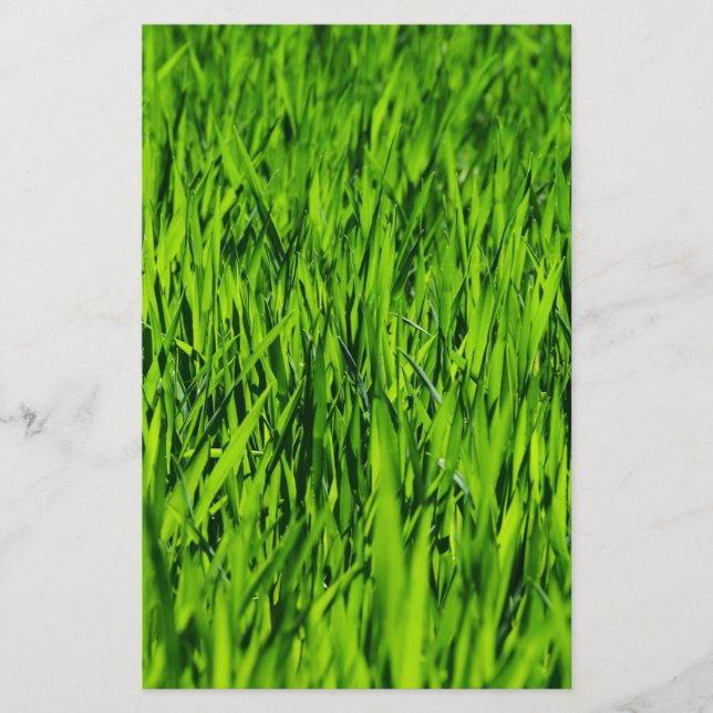 Große Grasblätter Briefpapier (Vorderseite)