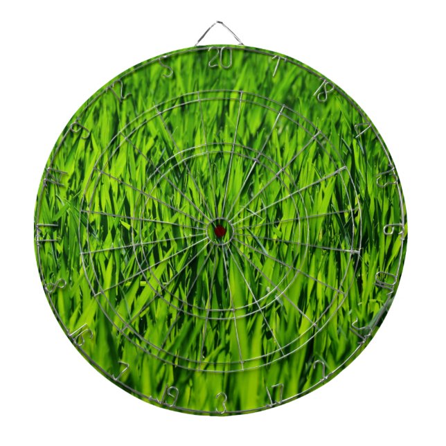 Große Grasblätter Dartscheibe (vorne)