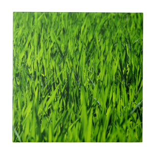 Große Grasblätter Fliese