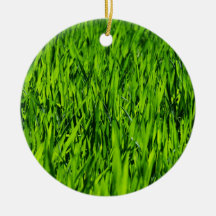 Große Grasblätter