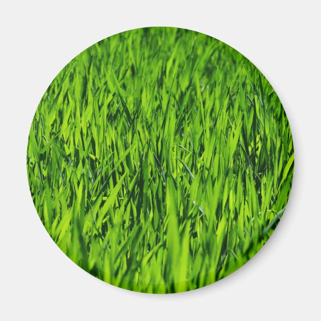 Große Grasblätter Magnet (Vorne)