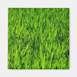 Große Grasblätter Magnet
