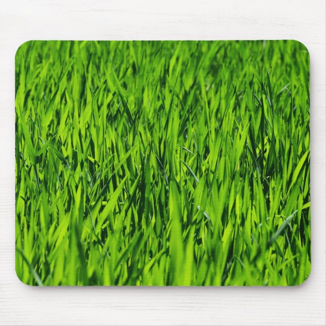 Große Grasblätter Mousepad (Vorne)