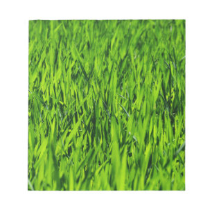Große Grasblätter Notizblock