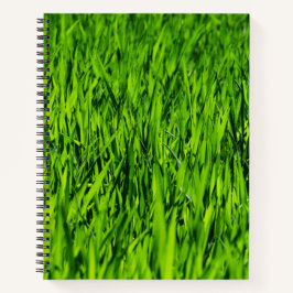 Große Grasblätter Notizbuch