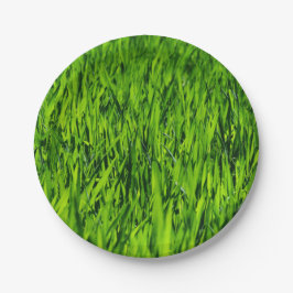 Große Grasblätter Pappteller
