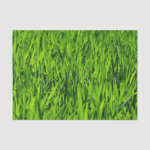 Große Grasblätter Seidenpapier