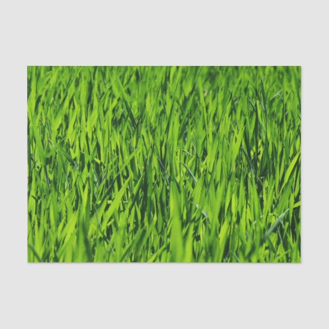 Große Grasblätter Seidenpapier (Vorderseite)