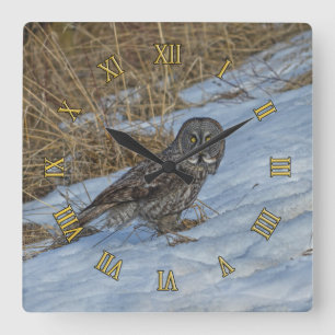 Große graue Eule Stehend im Snow Wildlife Foto Quadratische Wanduhr