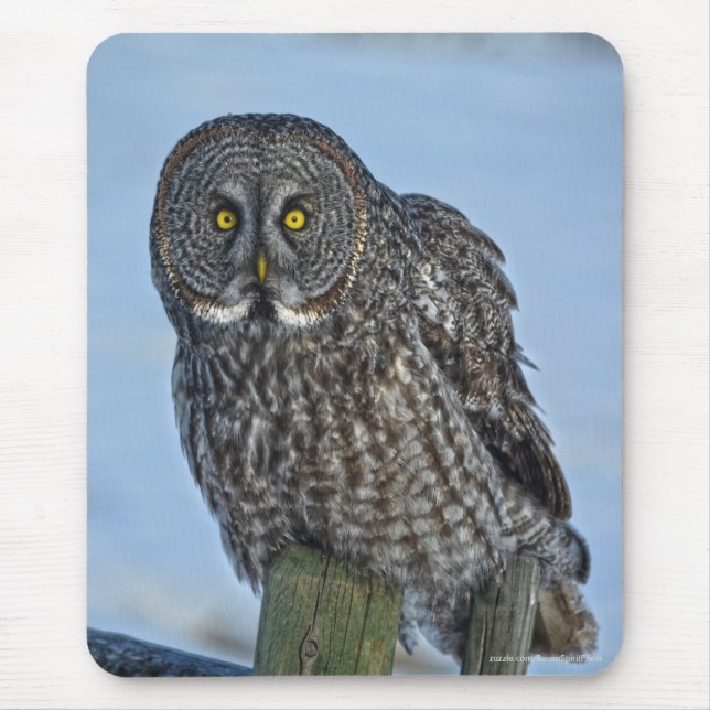 Große graue Eule und Schnee Wildlife Raptor Foto Mousepad (Vorne)