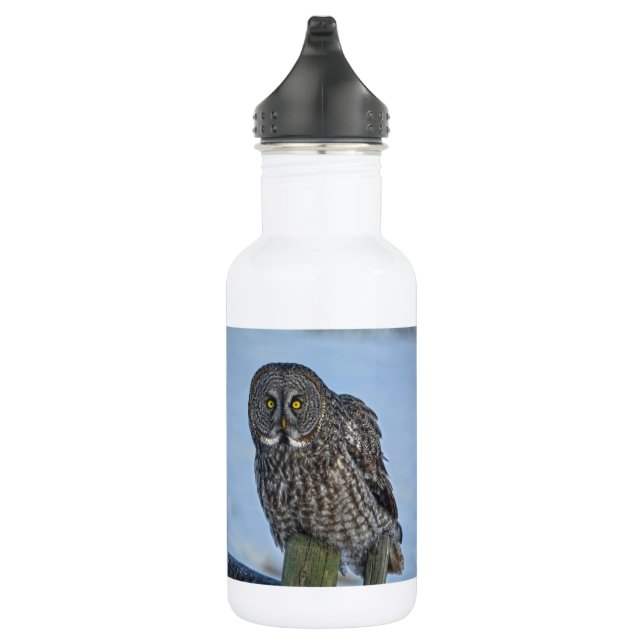 Große graue Eule und Schnee Wildlife Raptor Foto Trinkflasche (Rechts)