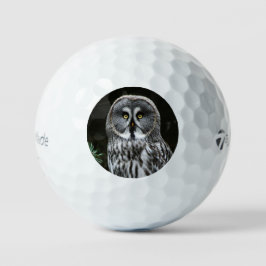 Große graue Owl tmtp5 Gbcnm Golfball