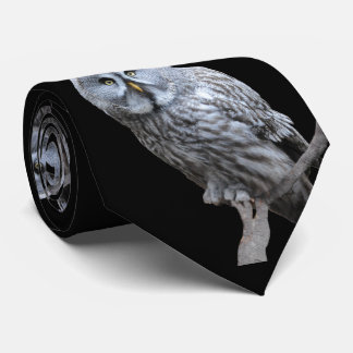 Große Grauschale Krawatte