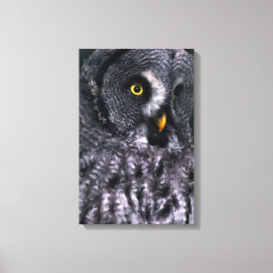 Große Grauschale Leinwanddruck