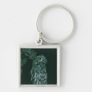 Große Grauschale Schlüsselanhänger