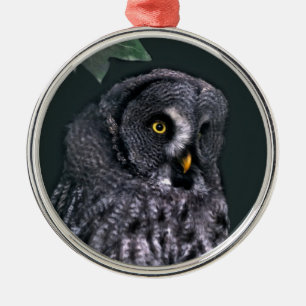 Große Grauschale Silbernes Ornament