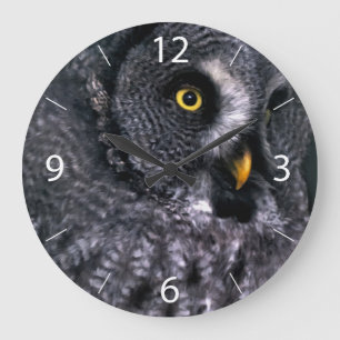 Große Grauschale Wanduhr