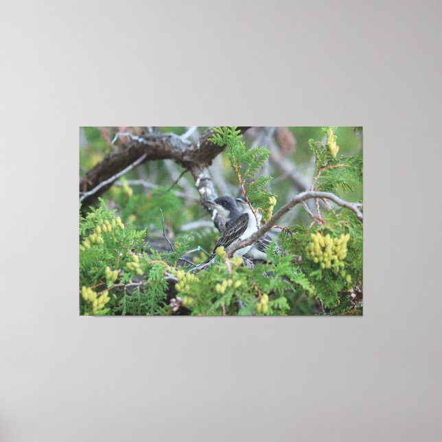 Große Grauvogel-Leinwand Leinwanddruck (Vorderseite)