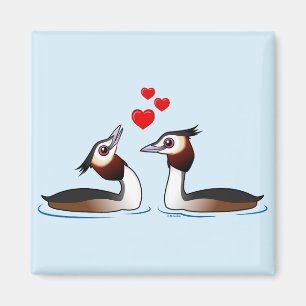 Große Grebes mit Haube in der Liebe Magnet
