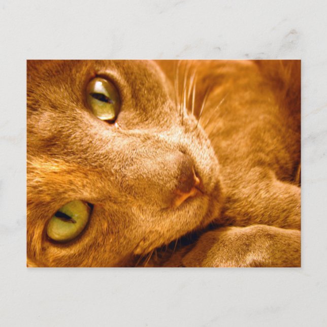 Große Grüntöne Postkarte (Vorderseite)