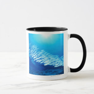 Große Gruppe FlussbarschGoatfishschwimmen Tasse